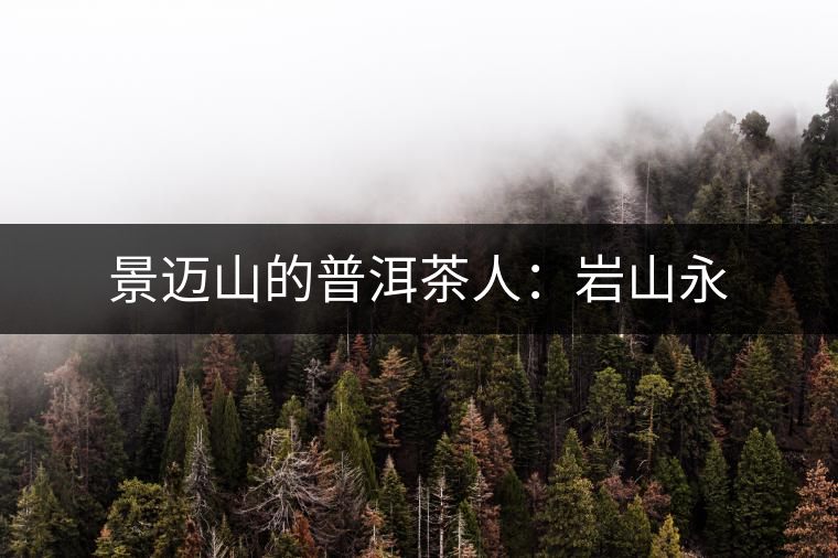 景邁山的普洱茶人：巖山永