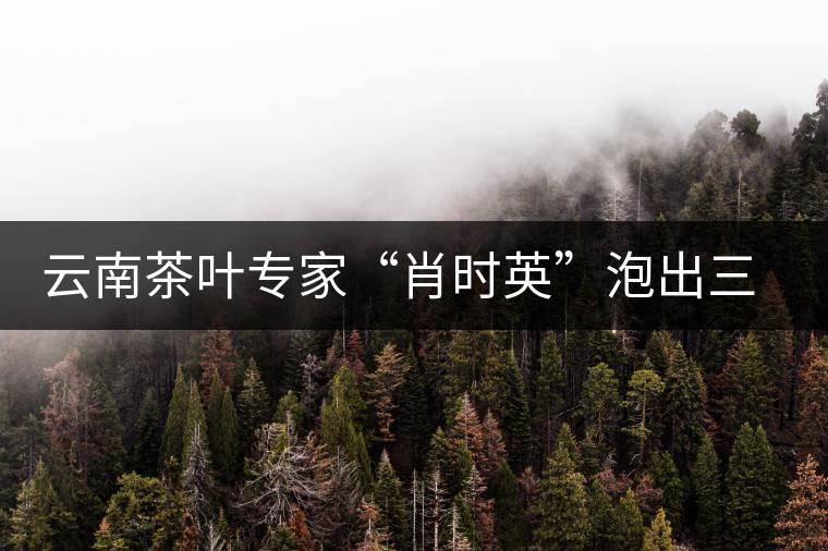 云南茶葉專家“肖時(shí)英”泡出三道茶