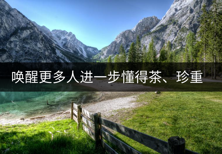 喚醒更多人進一步懂得茶、珍重茶、享受茶