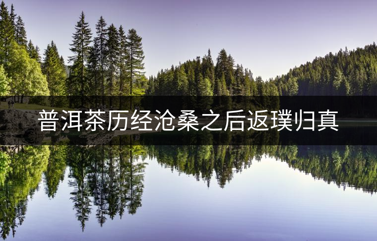 普洱茶歷經(jīng)滄桑之后返璞歸真