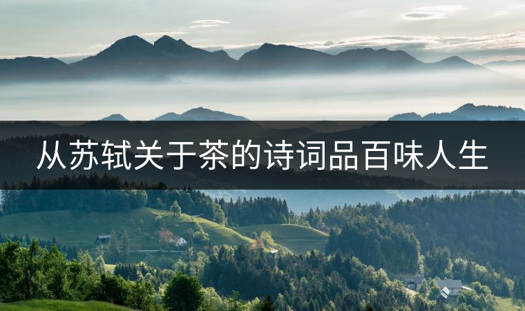 從蘇軾關(guān)于茶的詩詞品百味人生 從蘇軾關(guān)于茶的詩詞品百味人生