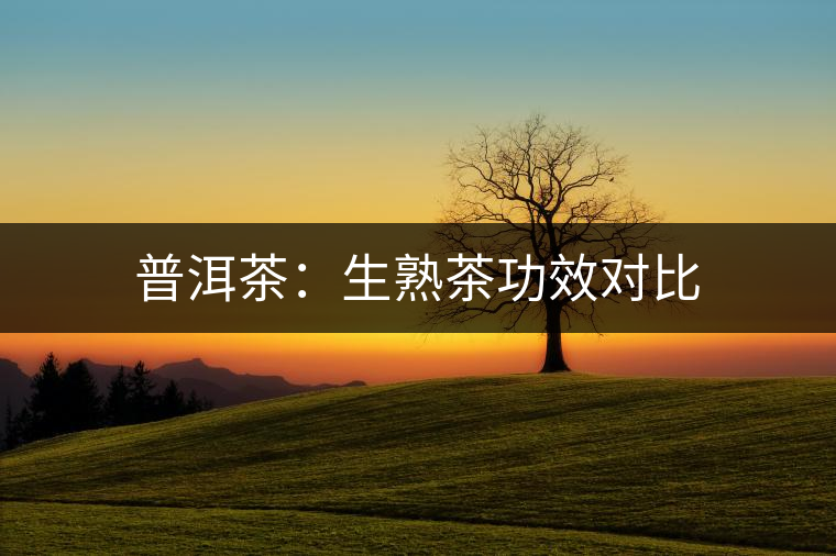 普洱茶：生熟茶功效對(duì)比