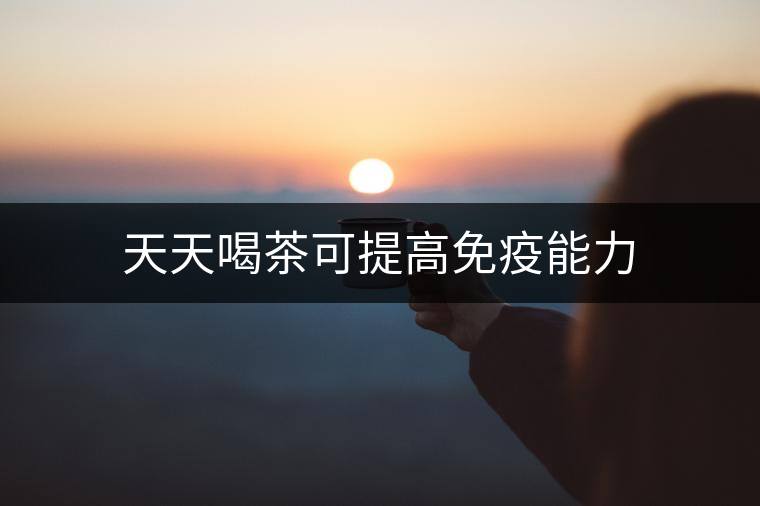 天天喝茶可提高免疫能力