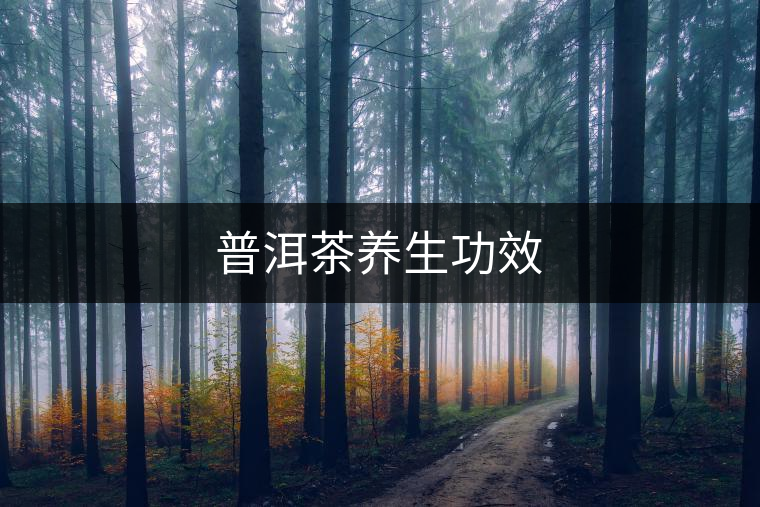 普洱茶養(yǎng)生功效