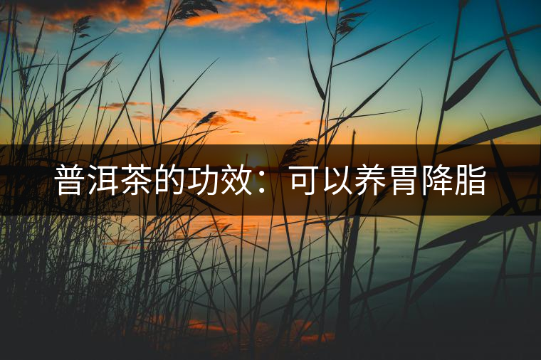 普洱茶的功效：可以養(yǎng)胃降脂