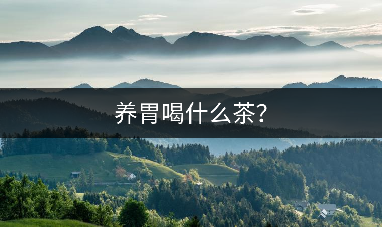 養(yǎng)胃喝什么茶？