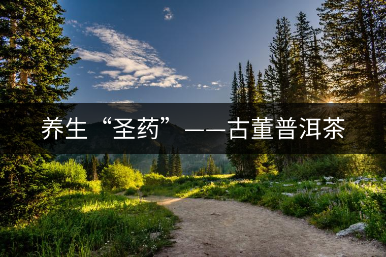 養(yǎng)生“圣藥”——古董普洱茶
