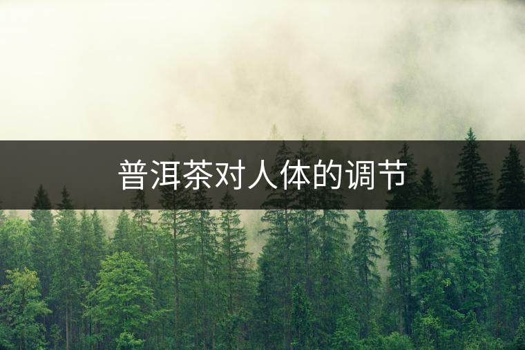 普洱茶對人體的調(diào)節(jié)