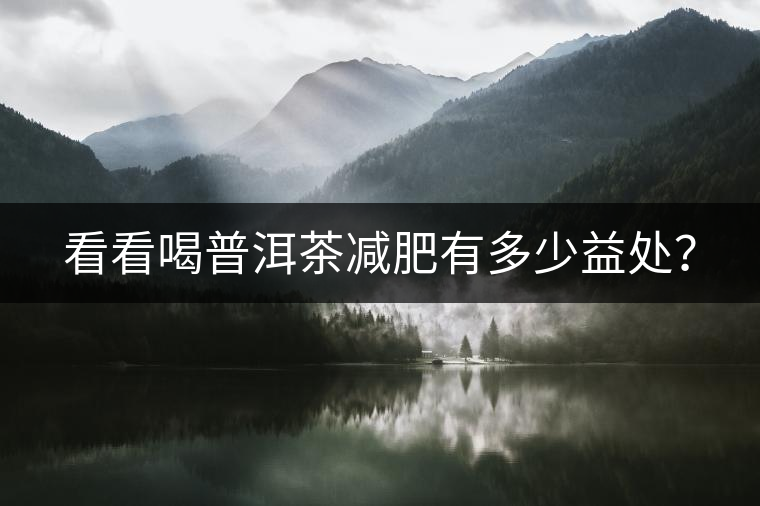 看看喝普洱茶減肥有多少益處？