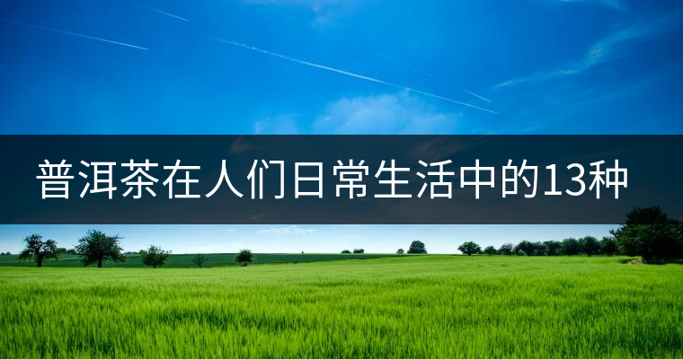 普洱茶在人們?nèi)粘Ｉ钪械?3種用途