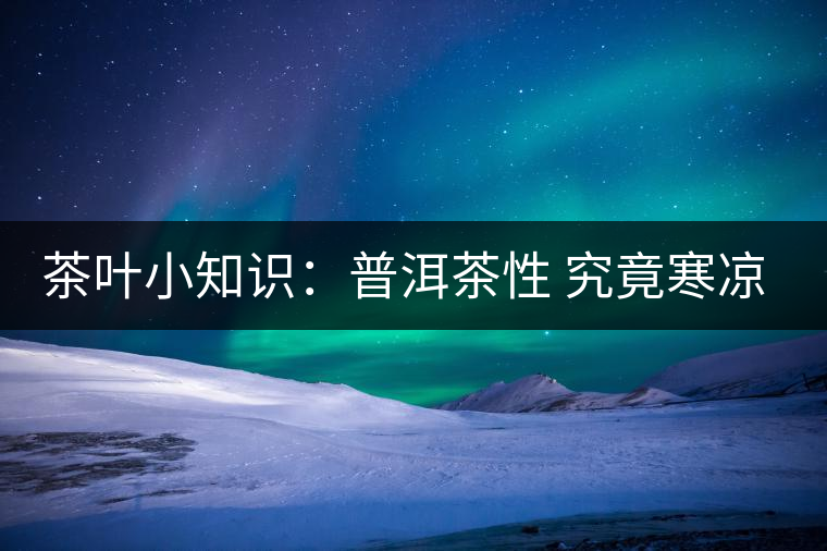 茶葉小知識：普洱茶性 究竟寒涼溫熱？