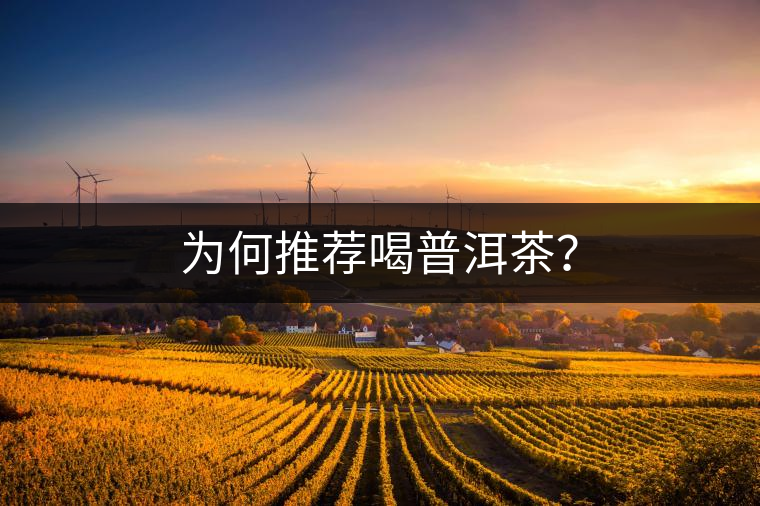 為何推薦喝普洱茶？