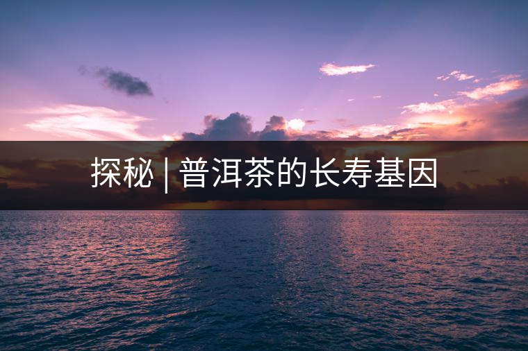 探秘 | 普洱茶的長(zhǎng)壽基因