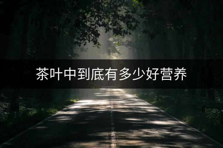 茶葉中到底有多少好營養(yǎng) 茶葉中到底有多少好營養(yǎng)