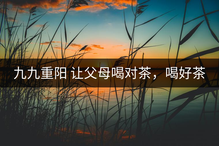 九九重陽(yáng) 讓父母喝對(duì)茶，喝好茶