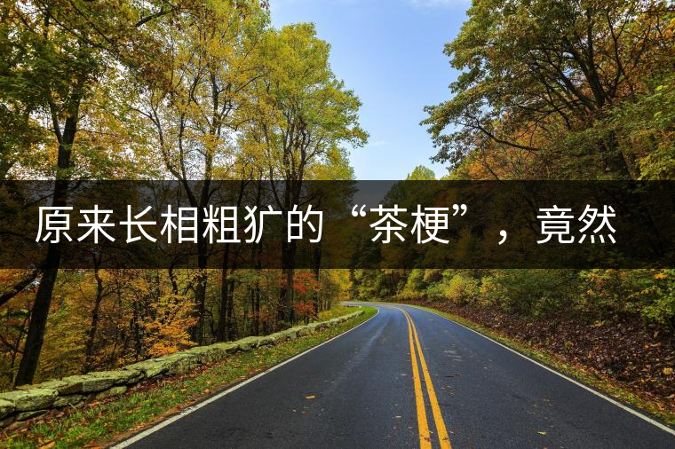 原來(lái)長(zhǎng)相粗獷的“茶梗”，竟然還有這么多的作用