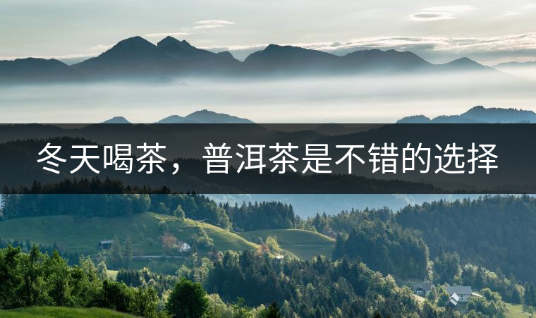 冬天喝茶，普洱茶是不錯(cuò)的選擇