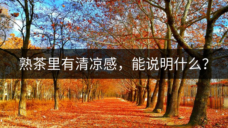 熟茶里有清涼感，能說明什么？