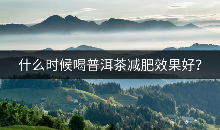 什么時(shí)候喝普洱茶減肥效果好？