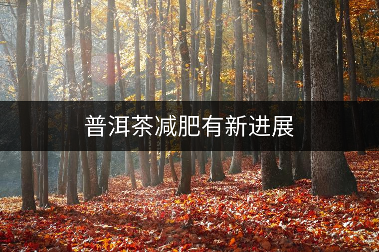 普洱茶減肥有新進(jìn)展