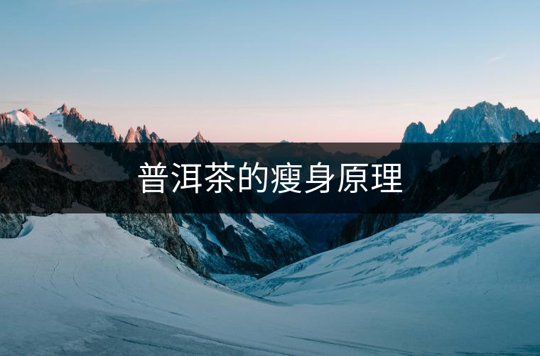 普洱茶的瘦身原理