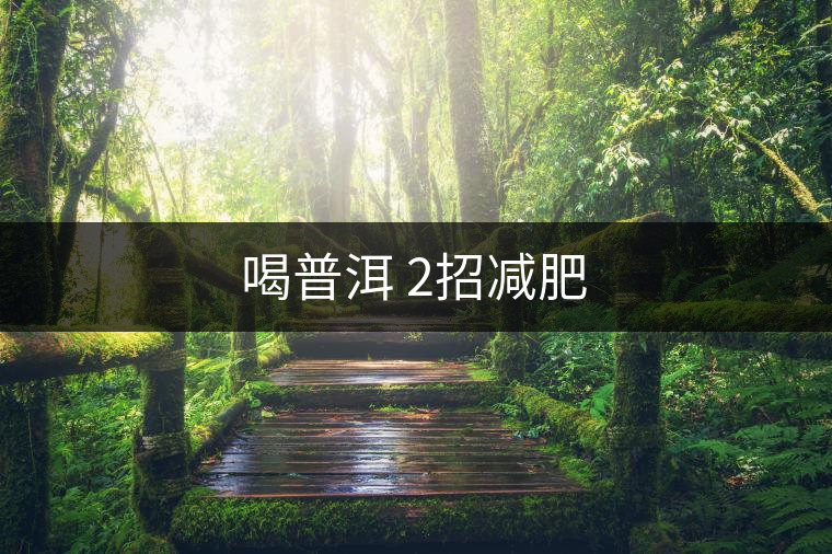 喝普洱 2招減肥 喝普洱 2招減肥