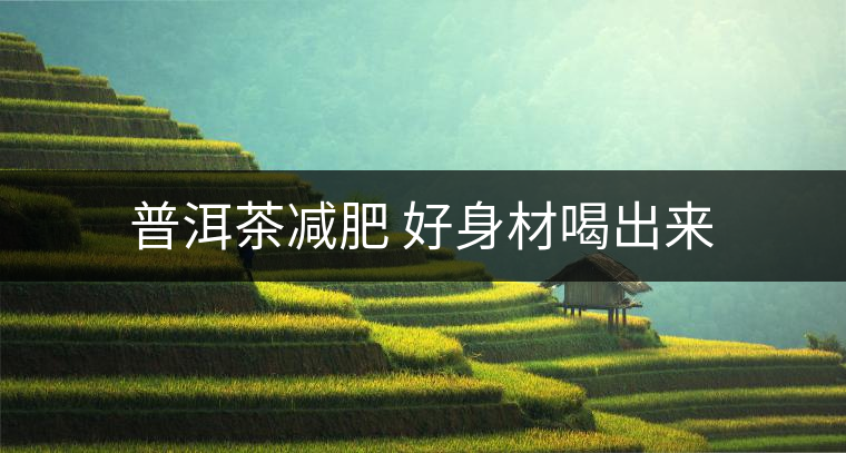 普洱茶減肥 好身材喝出來 普洱茶減肥 好身材喝出來