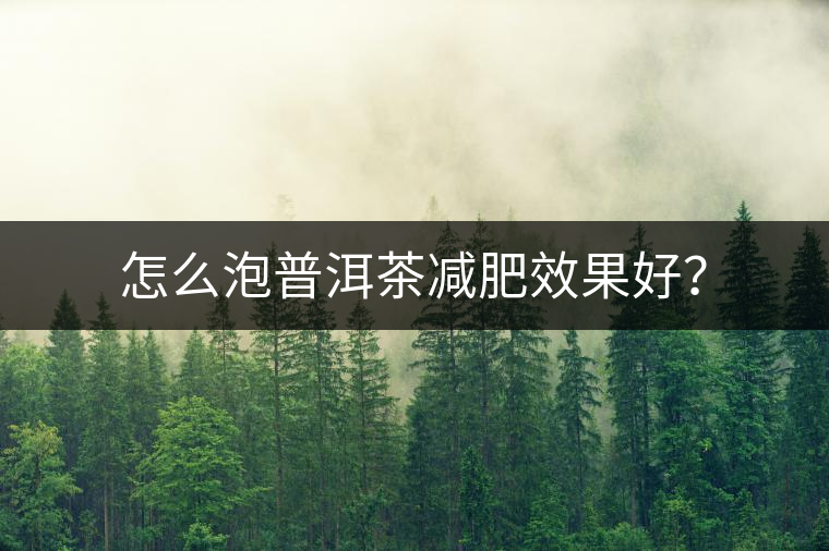 怎么泡普洱茶減肥效果好？