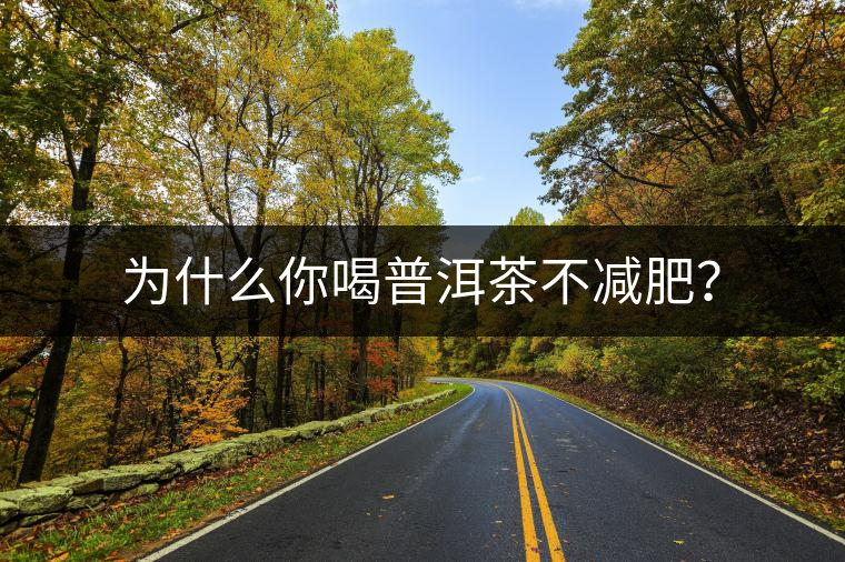 為什么你喝普洱茶不減肥？