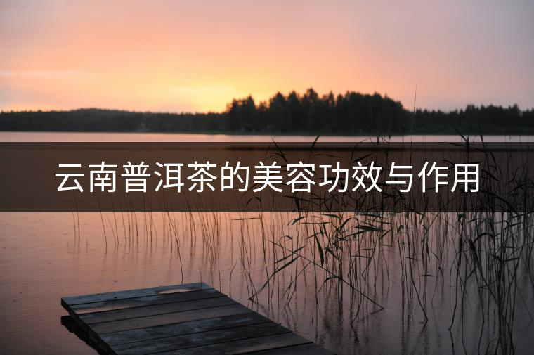 云南普洱茶的美容功效與作用