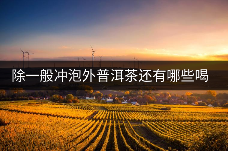 除一般沖泡外普洱茶還有哪些喝法？