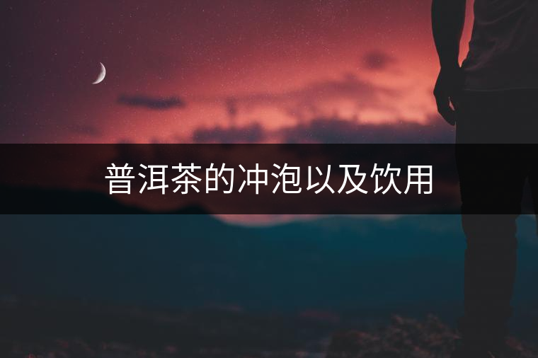 普洱茶的沖泡以及飲用