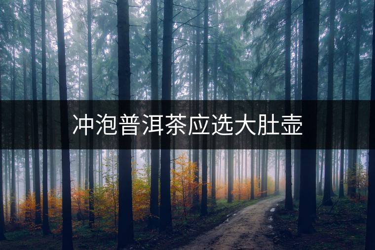 沖泡普洱茶應(yīng)選大肚壺