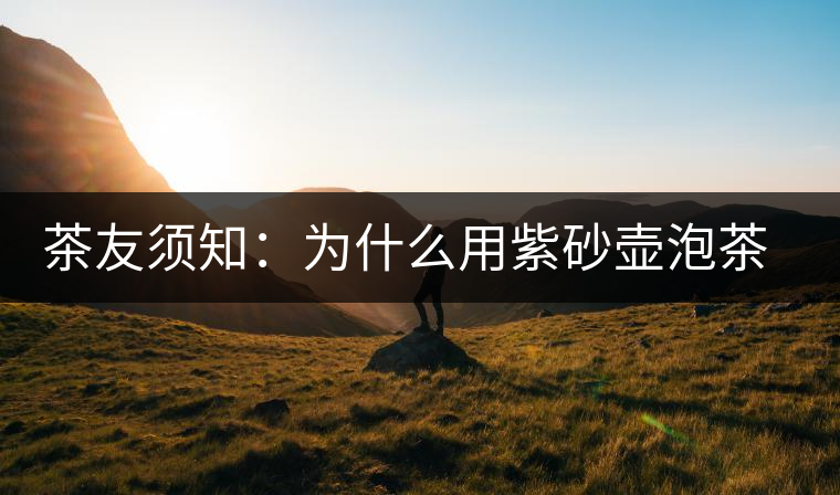 茶友須知：為什么用紫砂壺泡茶很香？