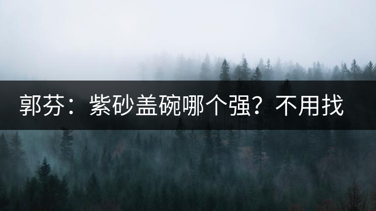 郭芬：紫砂蓋碗哪個強？不用找藍(lán)翔