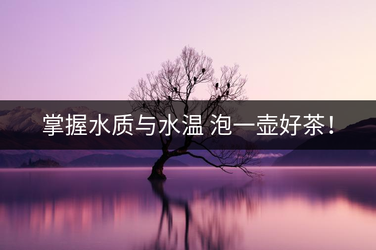 掌握水質(zhì)與水溫 泡一壺好茶！