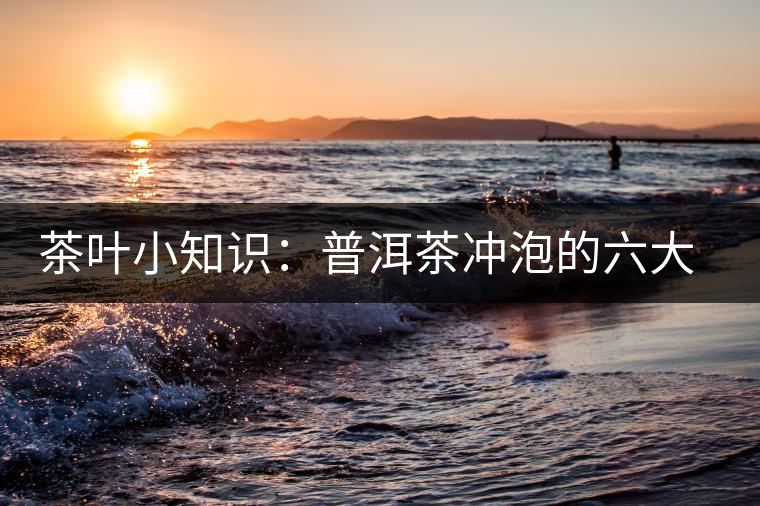 茶葉小知識(shí)：普洱茶沖泡的六大技巧（進(jìn)階六式）