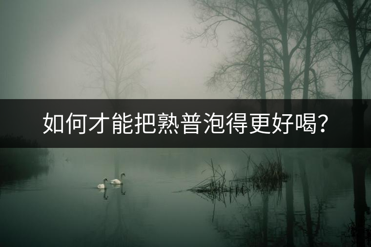 如何才能把熟普泡得更好喝？