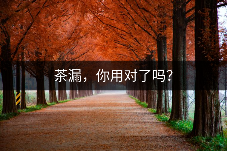 茶漏，你用對(duì)了嗎？