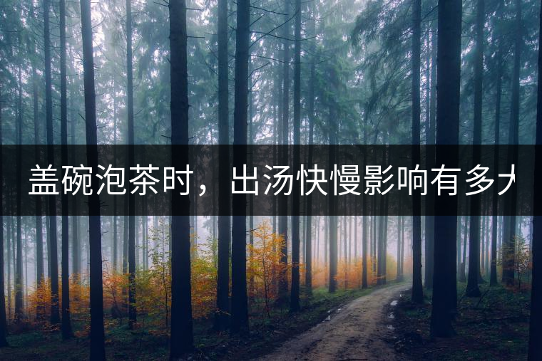 蓋碗泡茶時，出湯快慢影響有多大？