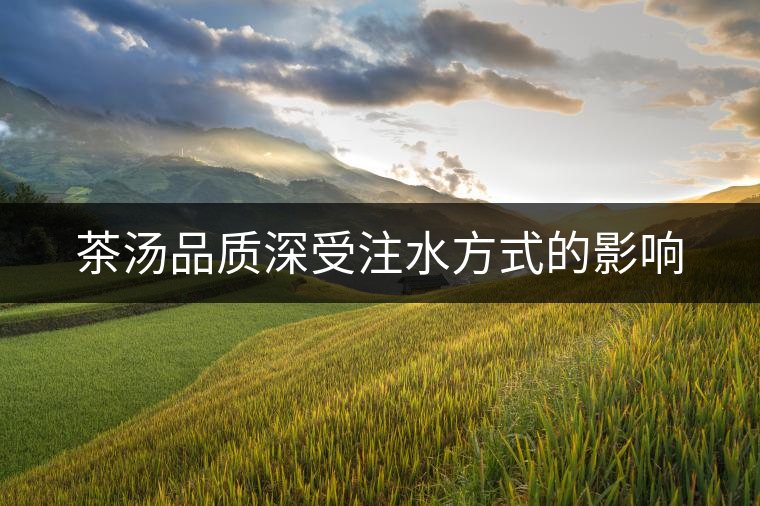茶湯品質(zhì)深受注水方式的影響