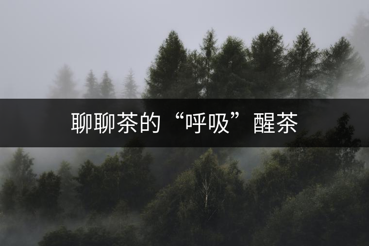 聊聊茶的“呼吸”醒茶