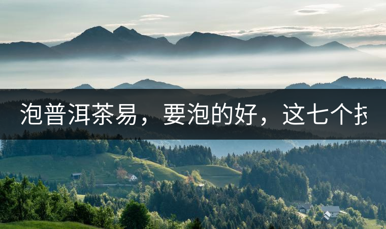 泡普洱茶易，要泡的好，這七個(gè)技巧很重要！