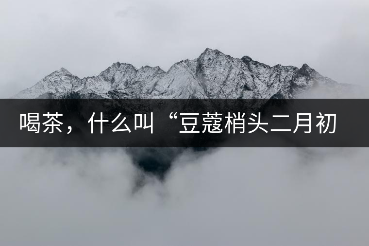 喝茶，什么叫“豆蔻梢頭二月初”？