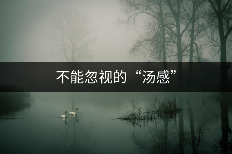 不能忽視的“湯感”