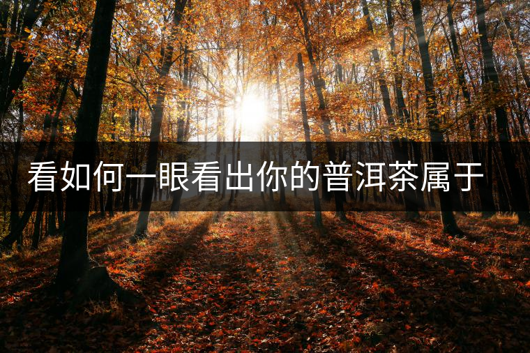 看如何一眼看出你的普洱茶屬于哪個歷史年代？