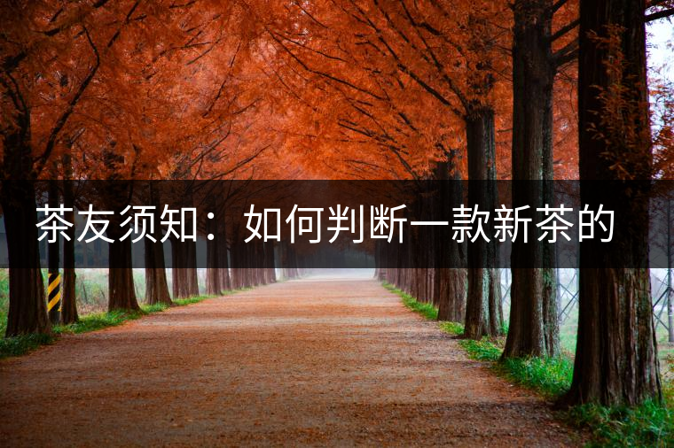 茶友須知：如何判斷一款新茶的陳化潛力？
