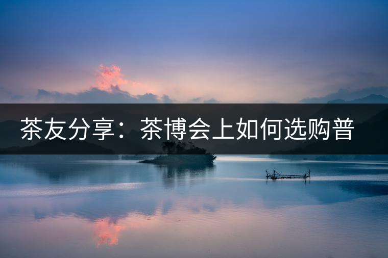 茶友分享：茶博會上如何選購普洱茶？