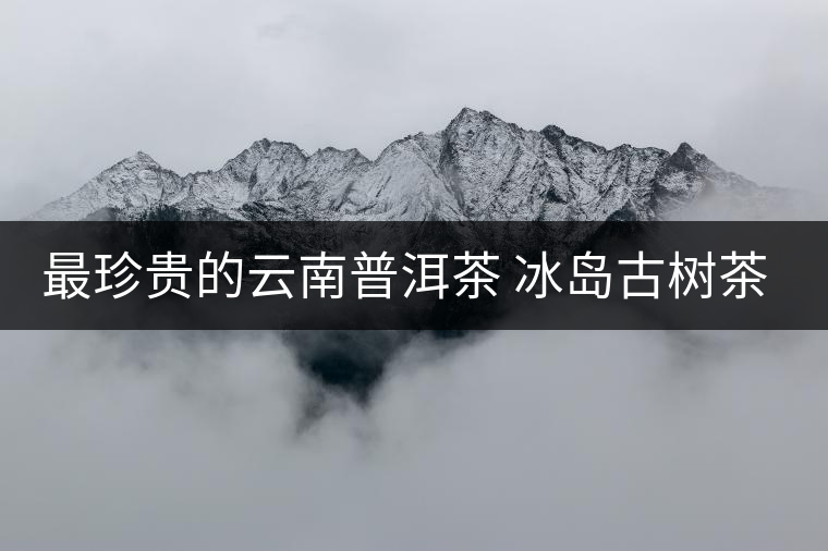 最珍貴的云南普洱茶 冰島古樹(shù)茶的品鑒