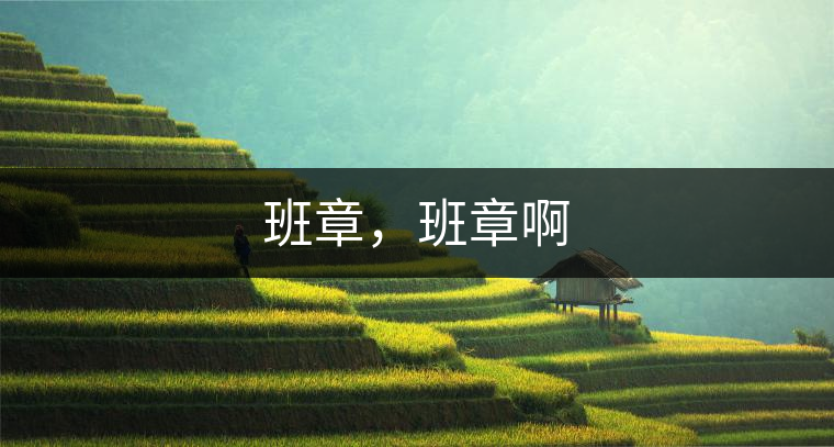 班章，班章啊